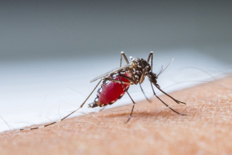 A vaccine alone won’t stop the Zika virus