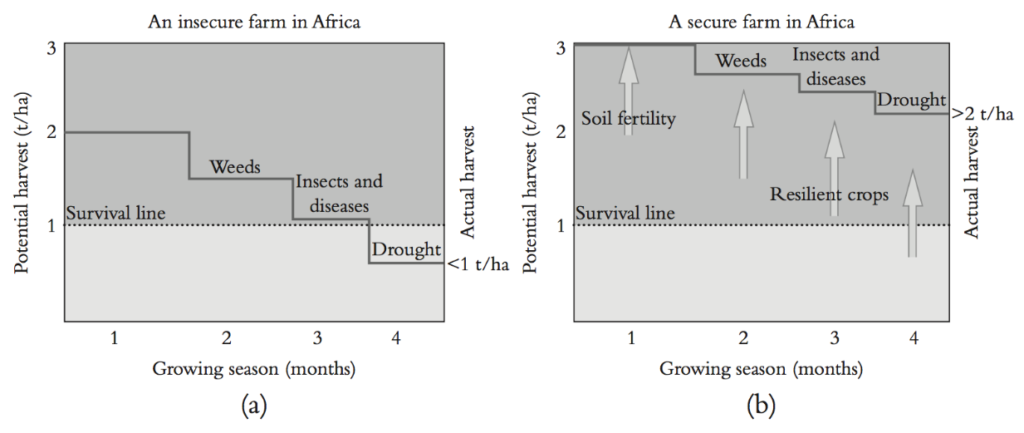 WFP-Buffet_figure 1