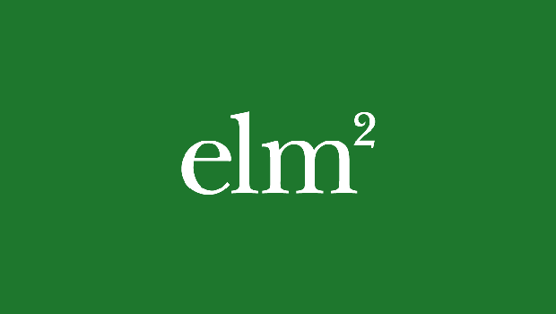 ELM² Fellows Class of 2015