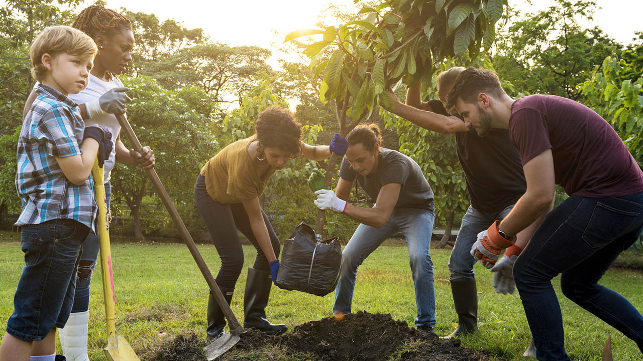 Group of people plant a tree