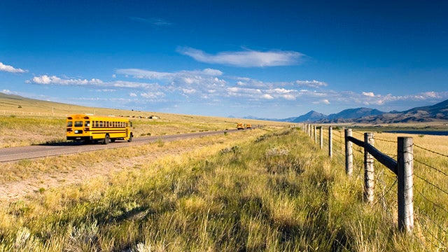 School bus on the road