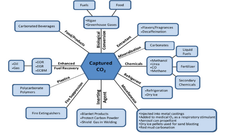 Carbon Sequestration: Carbon Capture, Removal, Utilization, and Storage