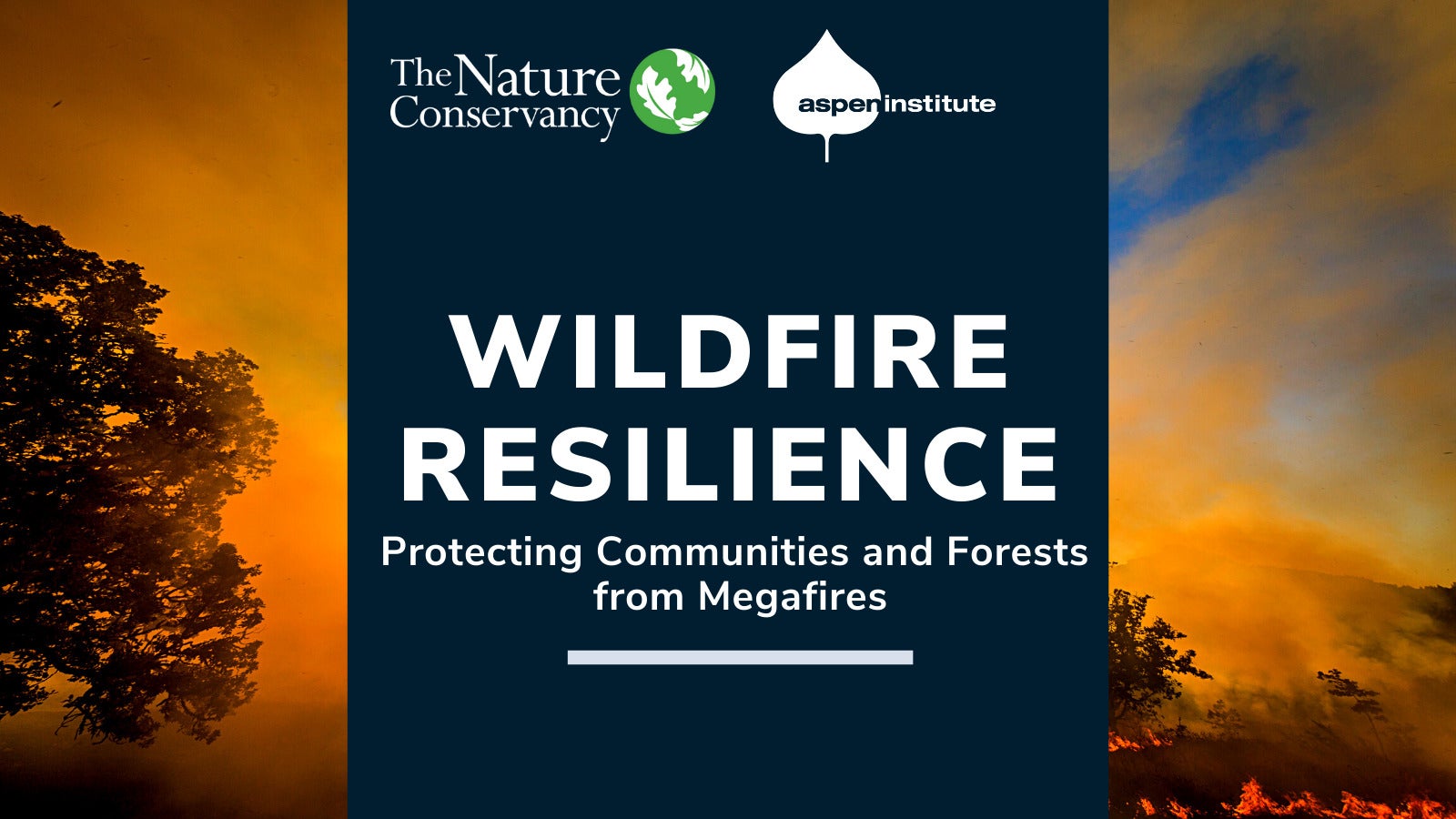 Wildfire Resilience: Protecting Communities and Forests from Megafires