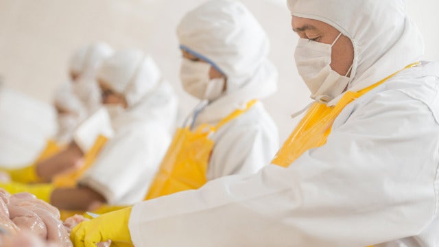 Workers at a poultry factory wearing protective clothing and masks