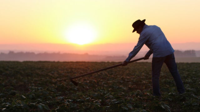 Job Quality in the Fields: Improving Farm Work in the US