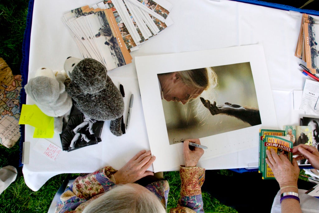 Jane Goodall signs books, posters, and other memorabilia at the Aspen Ideas Festival 2005.