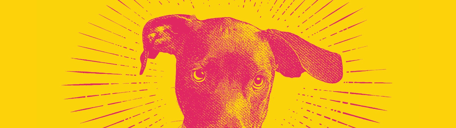 A color-washed photo of a puppy. It represents the first AI elections and the "dog that didn't bark."