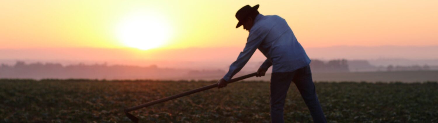 silhouette of farmer wearing a hat working in the fields at sunset
