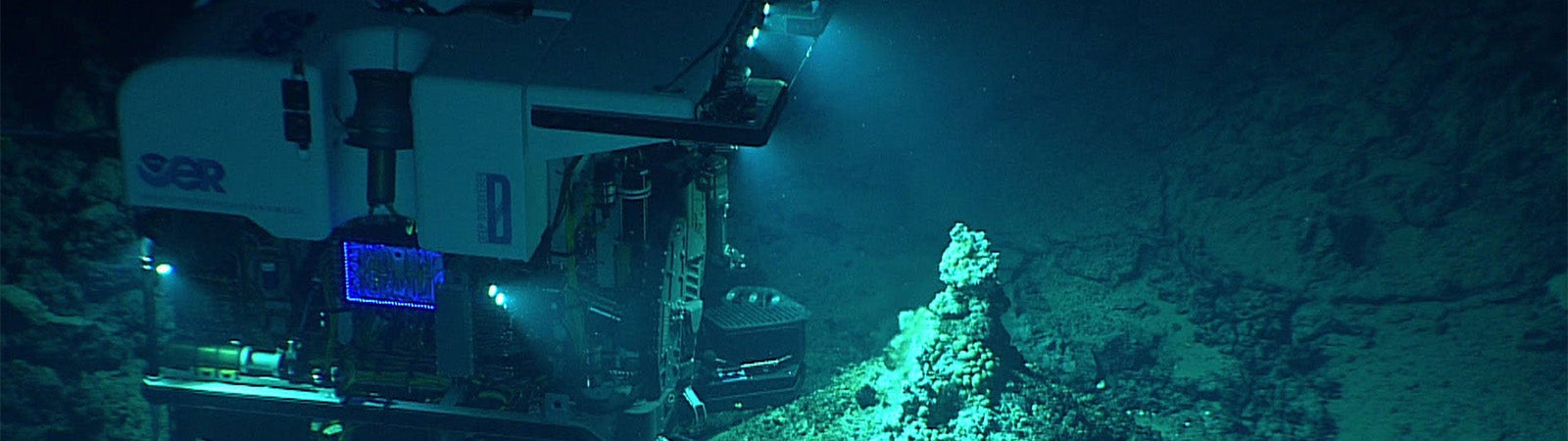 Image courtesy of the NOAA Office of Ocean Exploration and Research, 2016 Deepwater Exploration of the Marianas