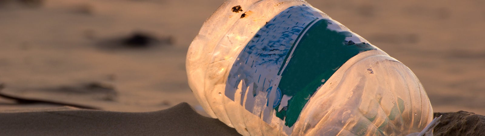 A lone plastic bottle washed on a beach