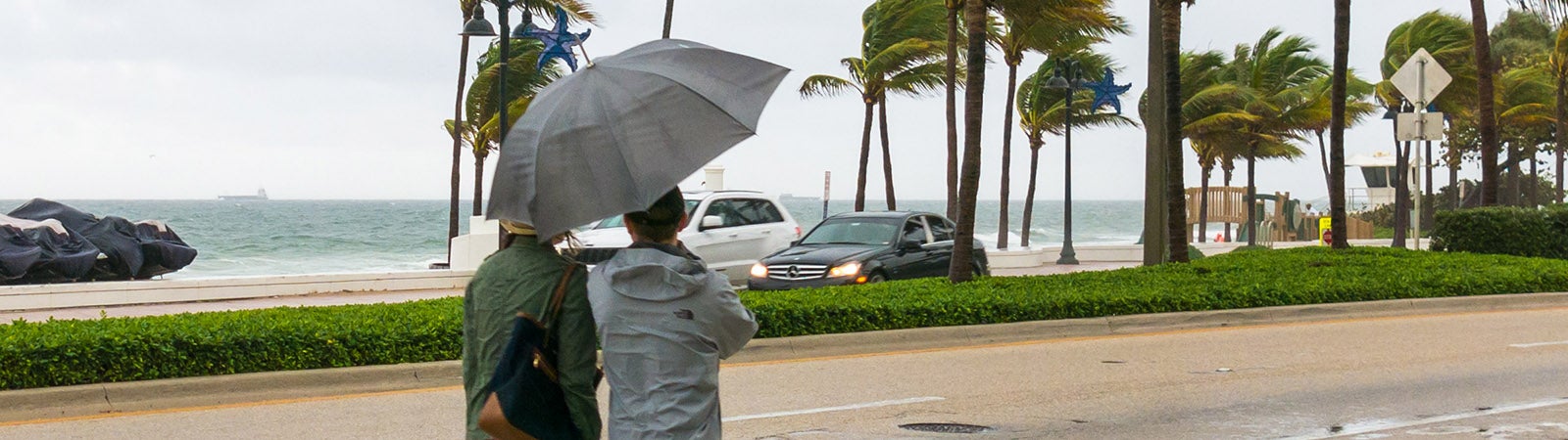 People walking in tropical storm