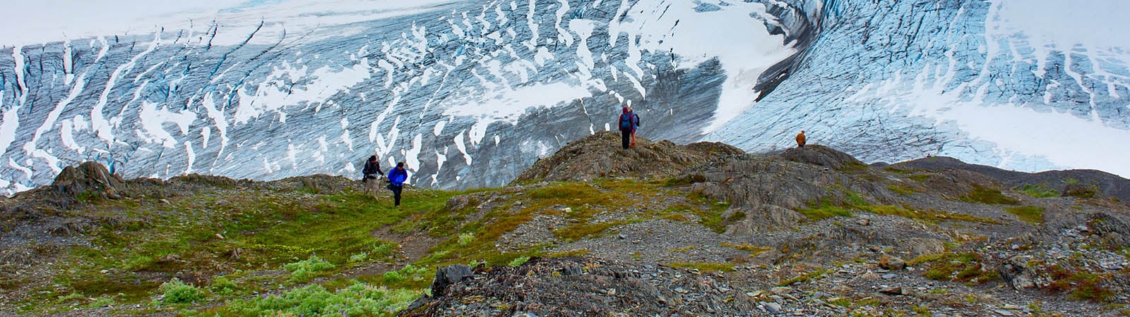 Kenai Fjords National Park