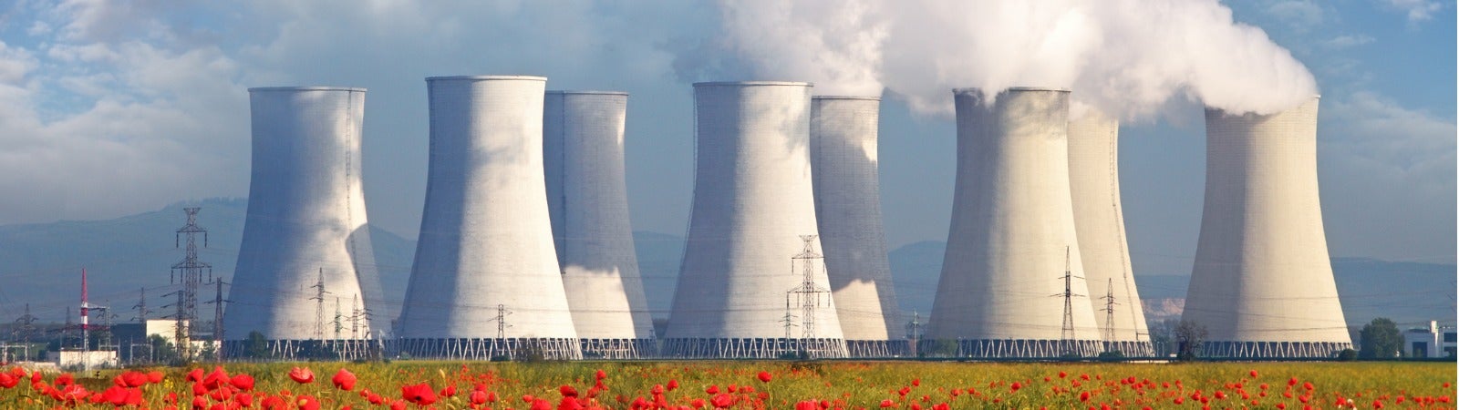 A nuclear power plant in a field of tulips.