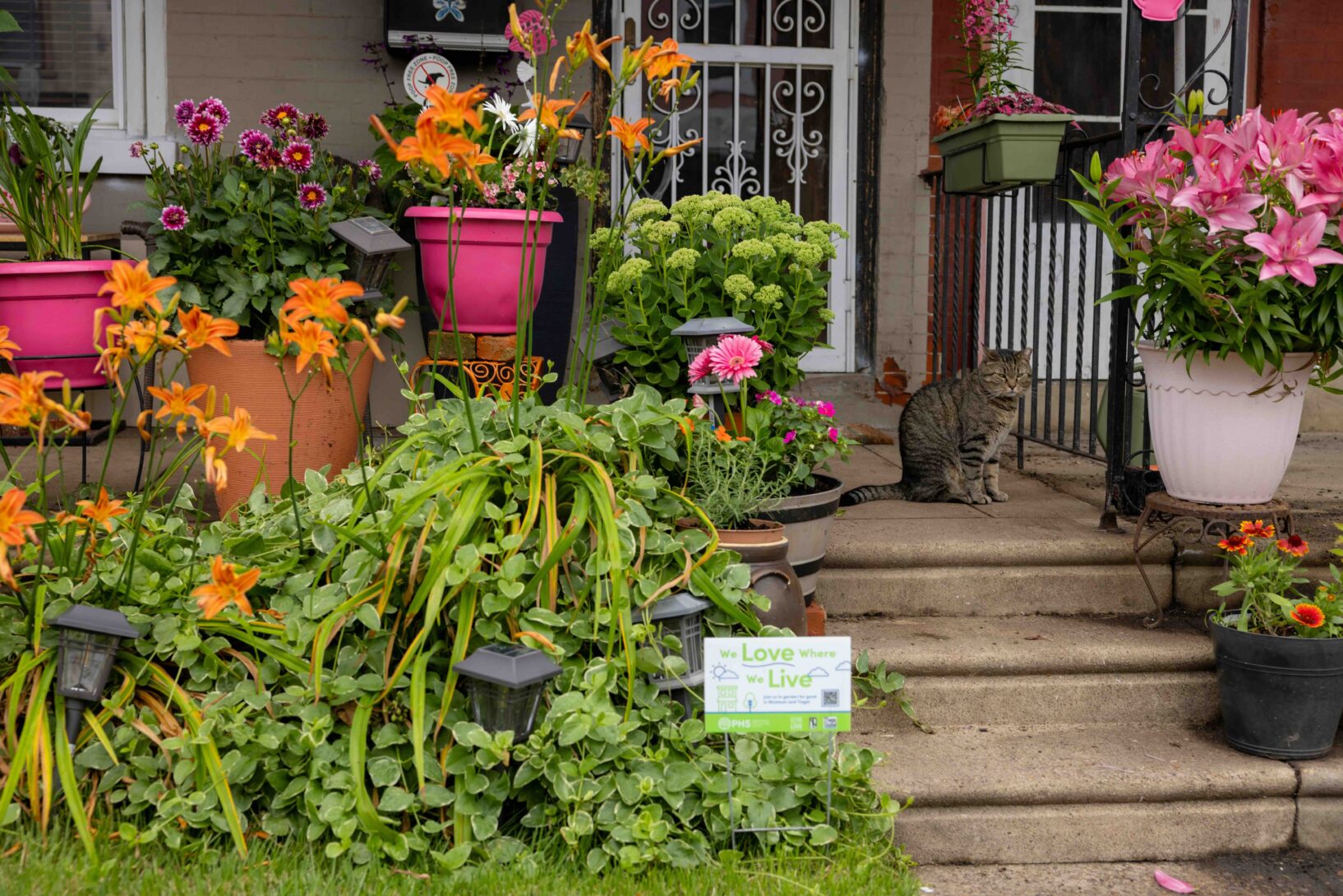 Neighbors planted flowers around their front porches as part of a challenge to beautify the block and build connection. Photo credit: Morgan Horell