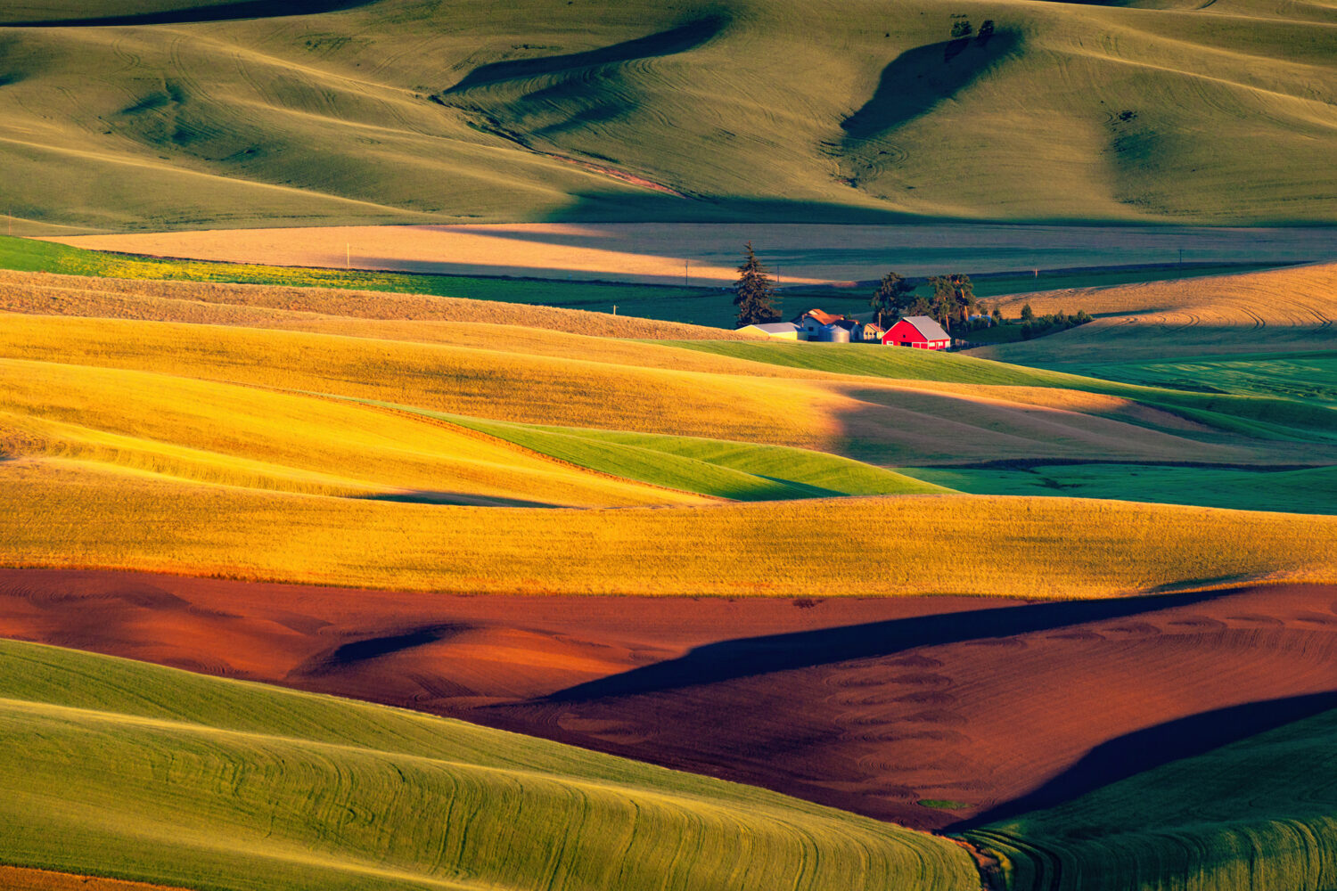 Meeting the Health Needs of Rural America