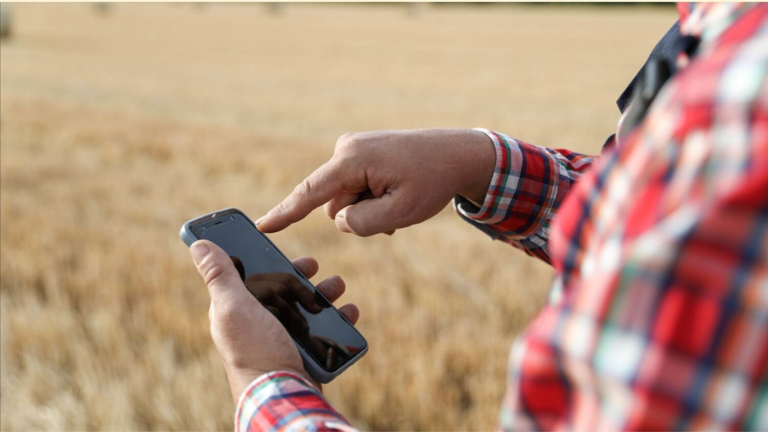 A Guatemalan farmer in a plaid shirt uses a smartphone in a field of yellowish crops. Technology in the field requires a human anchor. Source: Gabrijelagal / Getty Images