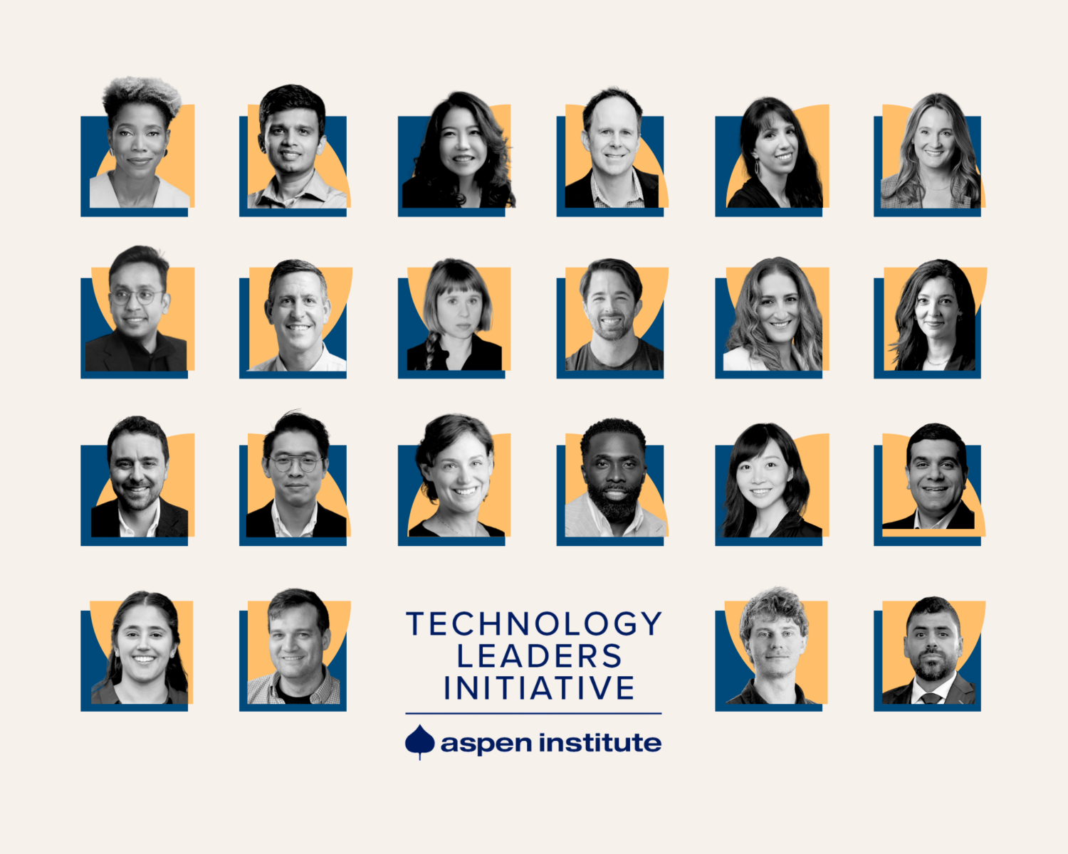 Technology Leadership Initiative Fellows Mosaic