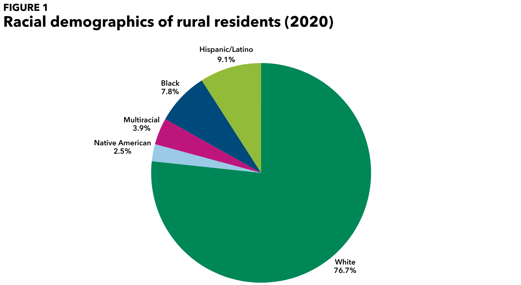 A pie chart that shows the demographic break down of rural residents: 76.7% are white; 9.1% are Hispanic/Latino; 7.8% are Black; 3.9% are multiracial; and 2.5% are Native American.