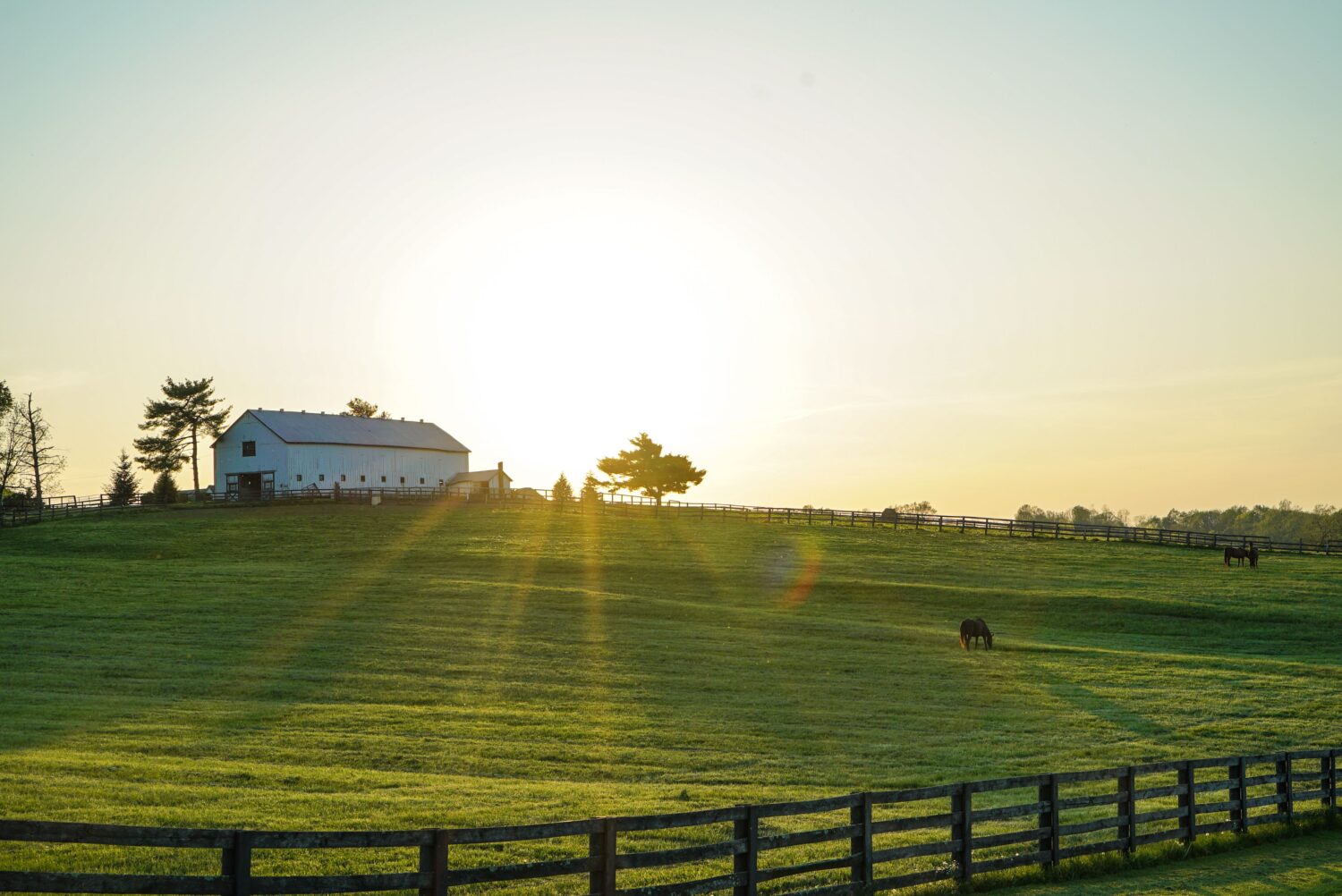 EasternKentucky_NoCopyright - Trey Jackson