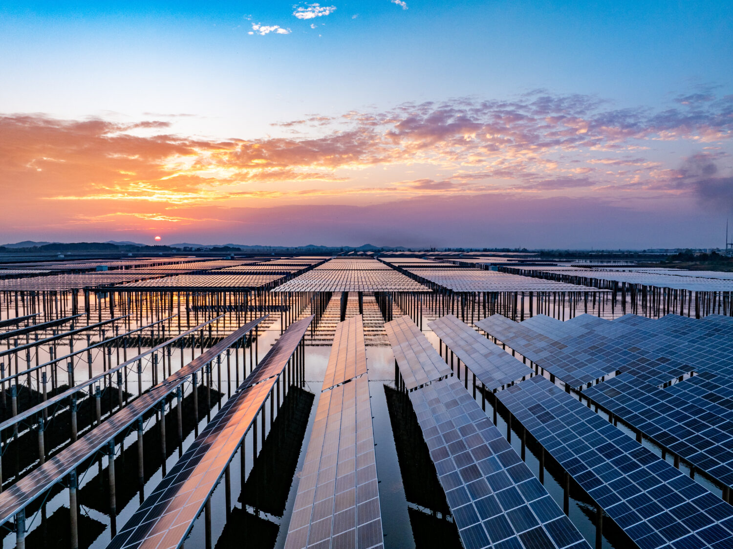 What’s Next for Sustainability? Moving Forward in a Time of Friction