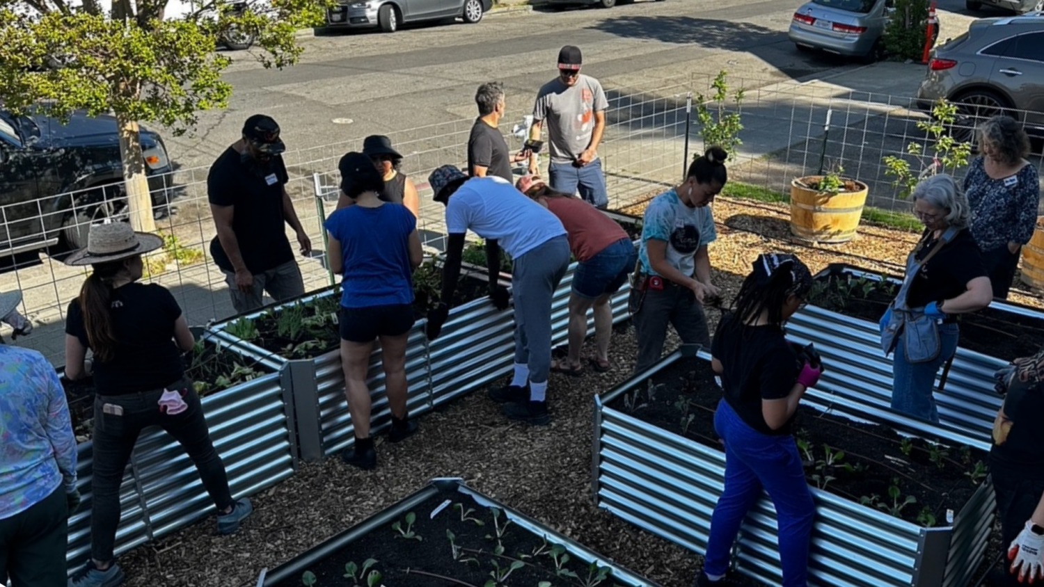 Neighbors tending to the Beloved Community Garden. Photo credit: Leila McCabe