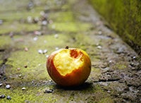 The True Cost of Food Waste